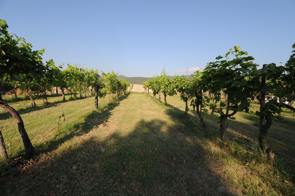 Agriturismo Scorgiano Εξωτερικό φωτογραφία